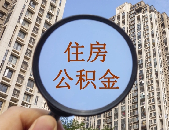 博兴退休后查不到公积金明细了吗（退休后公积金查询不到原因）